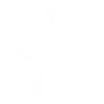 fire icon