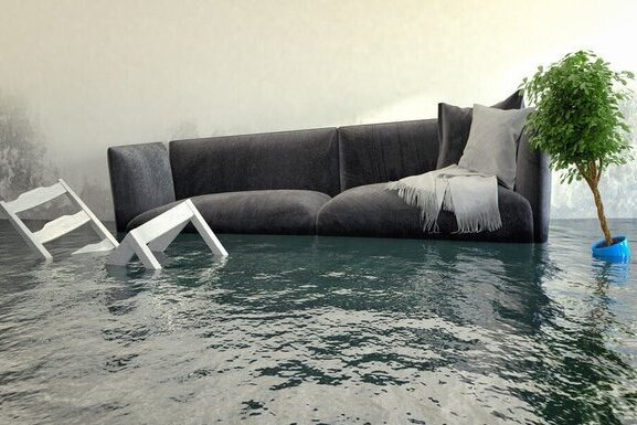 Water damage, flooded house, chair and plant floating by couch