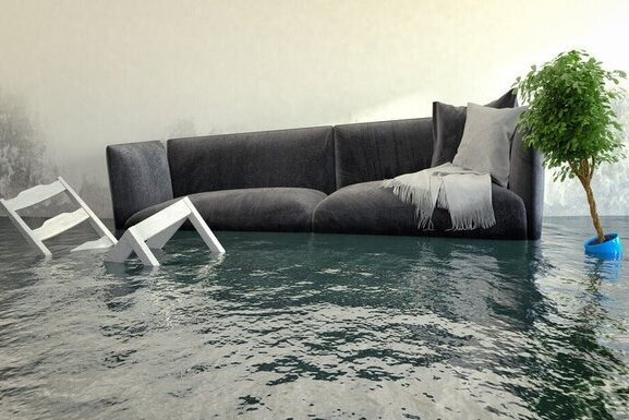 Water Damage, Flooded House, Chair And Plant Floating By Couch