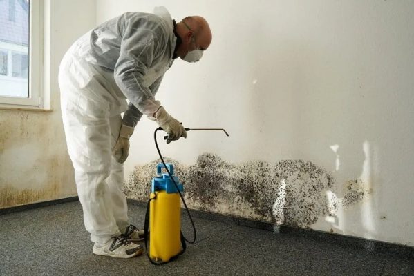 Mold Removal Service Redmond Washington