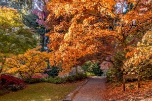 Seattle in autumn weather