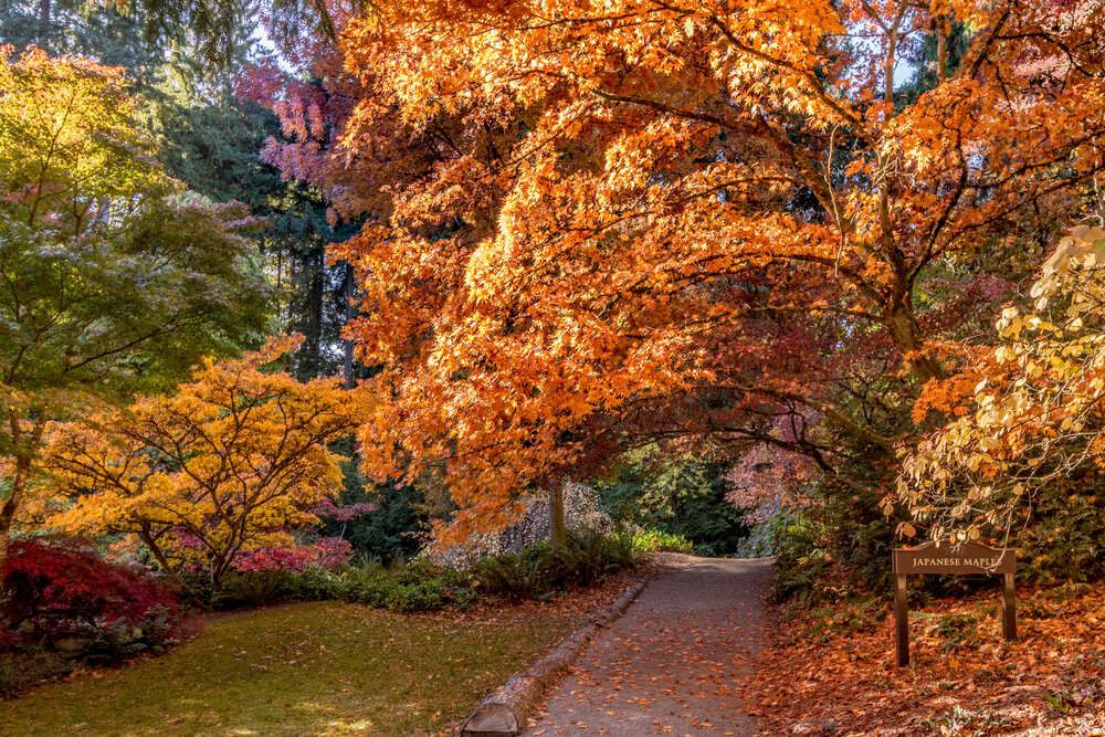 Seattle in autumn weather