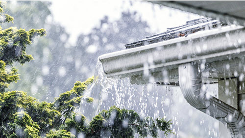 Clogged Gutters