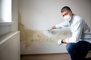 Man with mouth nose mask and blue shirt and gloves n front of white wall with mold