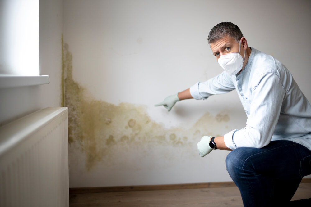 Man with mouth nose mask and blue shirt and gloves n front of white wall with mold